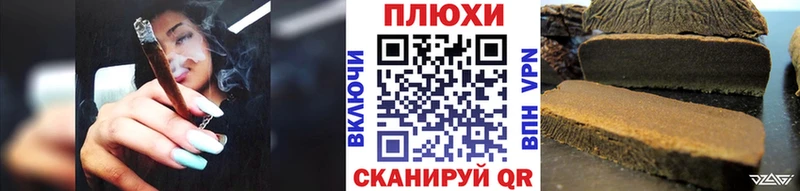 ГАШ Изолятор  Николаевск 