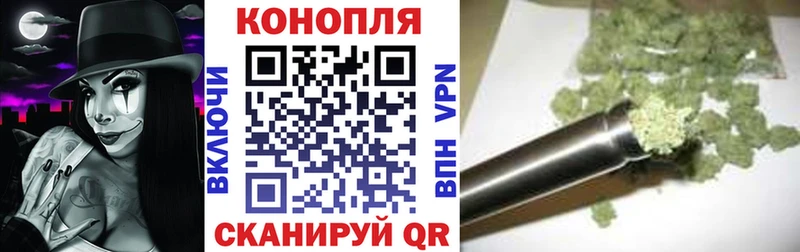 Каннабис OG Kush  Николаевск 